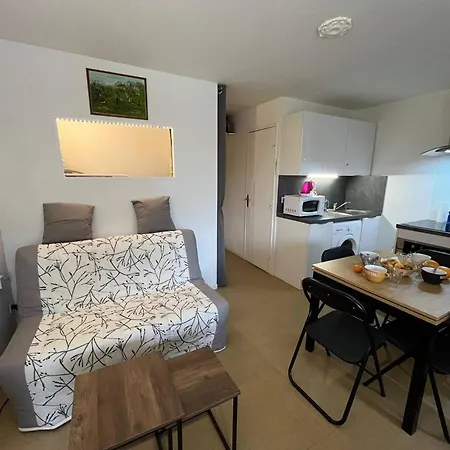 Familial Pres De La Avec Balcon Et Parking - St Pierre La - Fr-1-619-148 דירה *