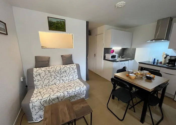 Familial Pres De La Avec Balcon Et Parking - St Pierre La - Fr-1-619-148 דירה *